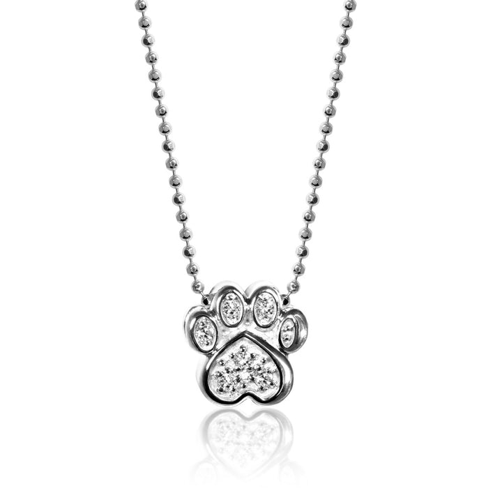 Alex Woo Pet Paw Charm Necklace
