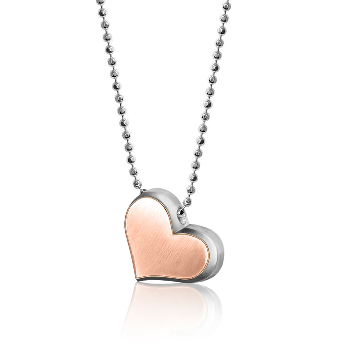Alex Woo Princess Heart Charm Necklace
