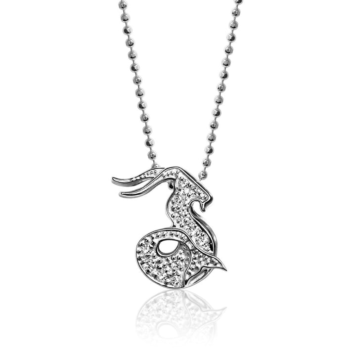 Alex Woo Zodiac Capricorn Charm Necklace