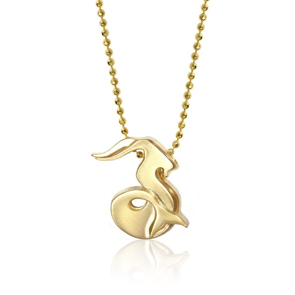Alex Woo Zodiac Capricorn Charm Necklace – Alex Woo Jewelry