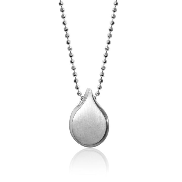 Alex Woo Zodiac Aquarius Charm Necklace