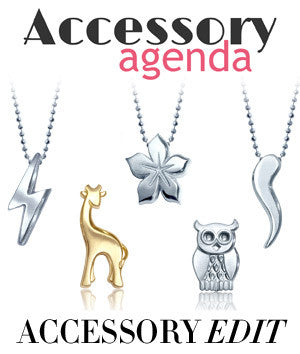 Accessory Agenda - Accessory Edit