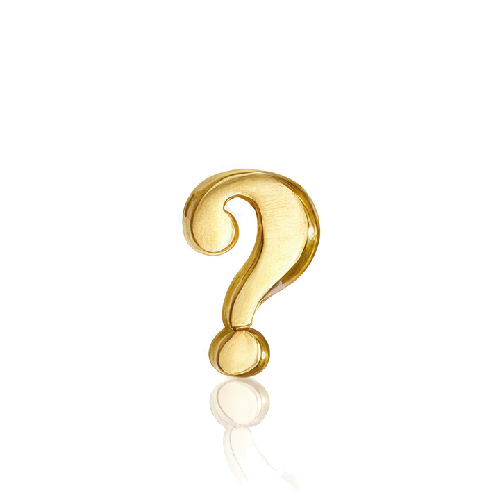 Alex Woo Little Letter Question Mark Charm Necklace