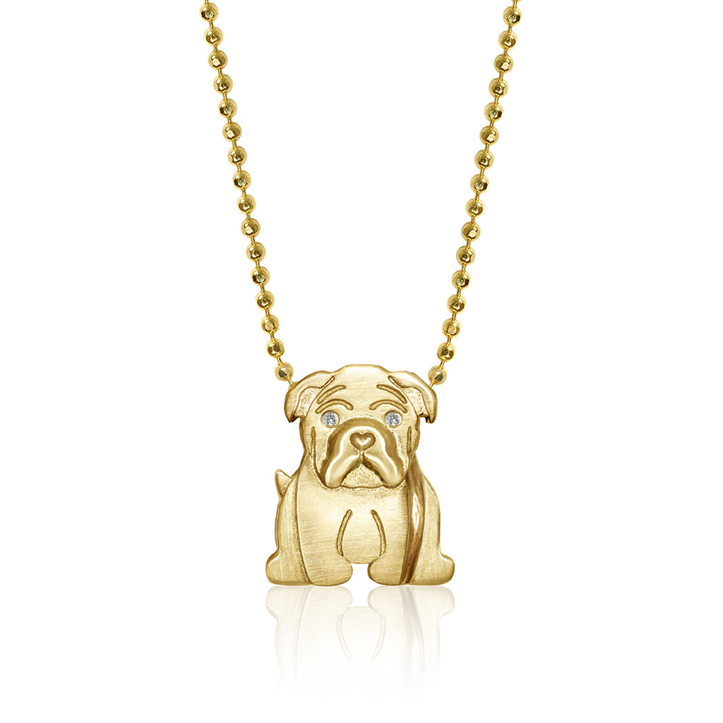 Pet Bulldog