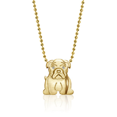Pet Bulldog