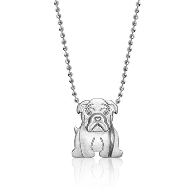 Pet Bulldog