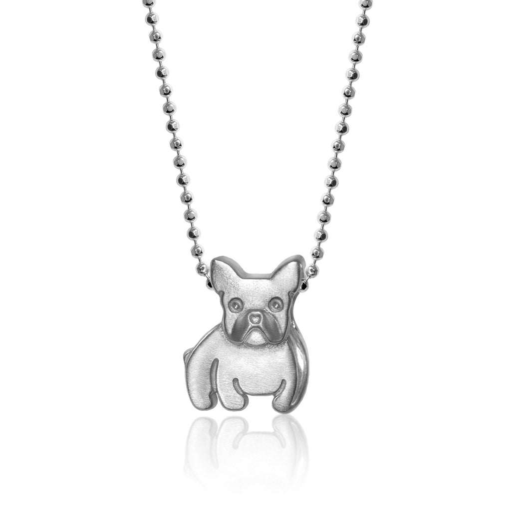 Animals Frenchie