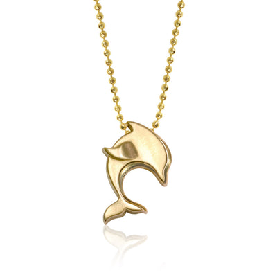 Cities Dolphin
