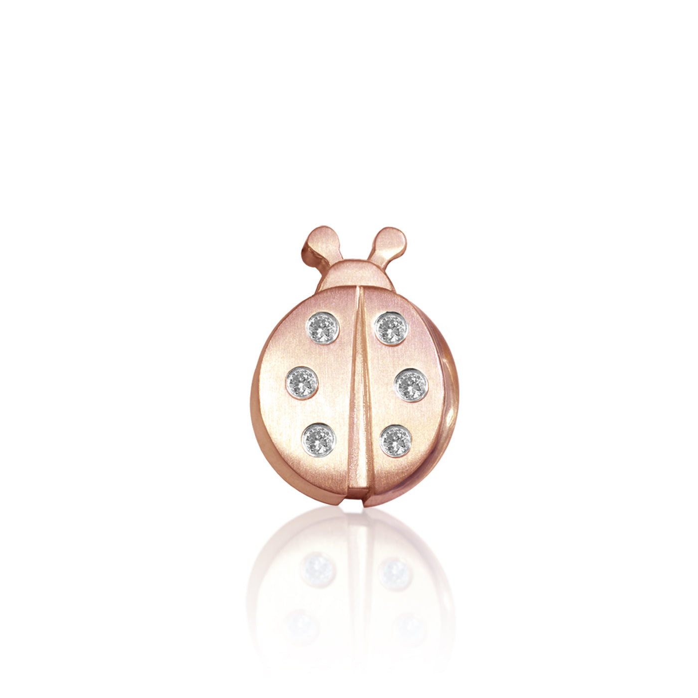 Luck Ladybug