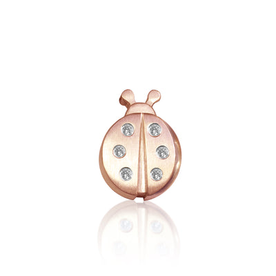 Luck Ladybug