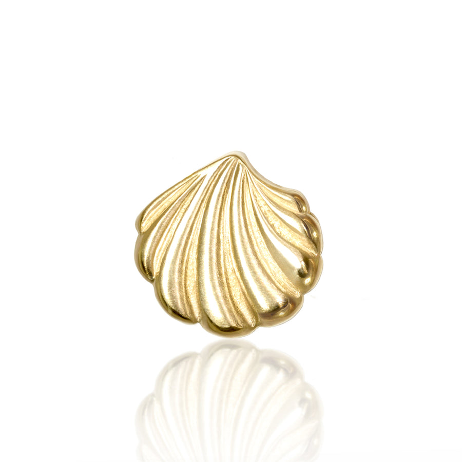 Shell