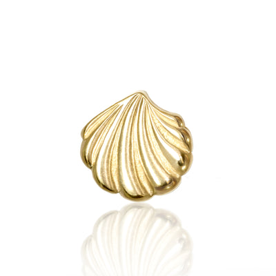 Seasons Shell