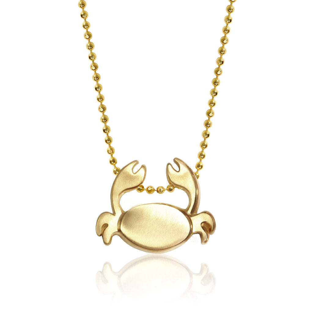 Signs Crab (Cancer)