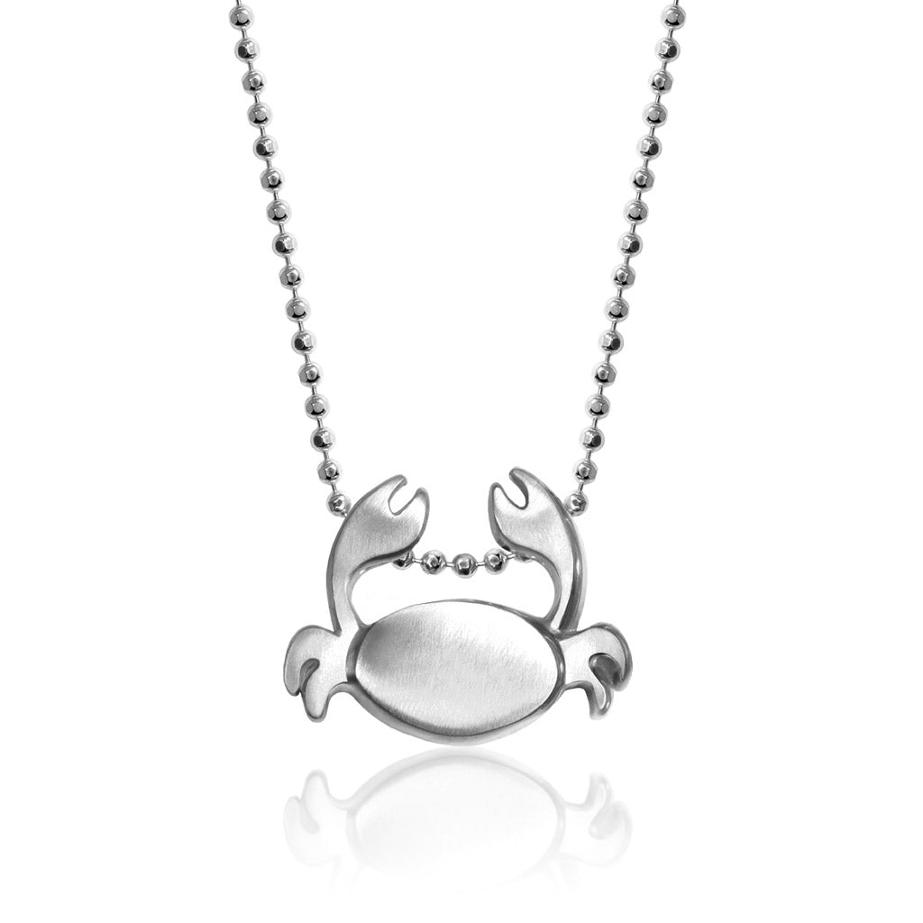 Alex Woo Zodiac Cancer Charm Necklace – Alex Woo Jewelry