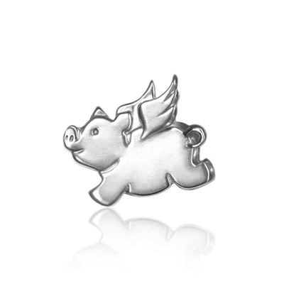Signs Flying Pig