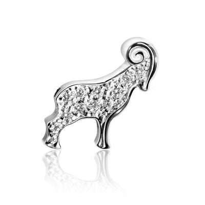 Signs Ram (Aries)