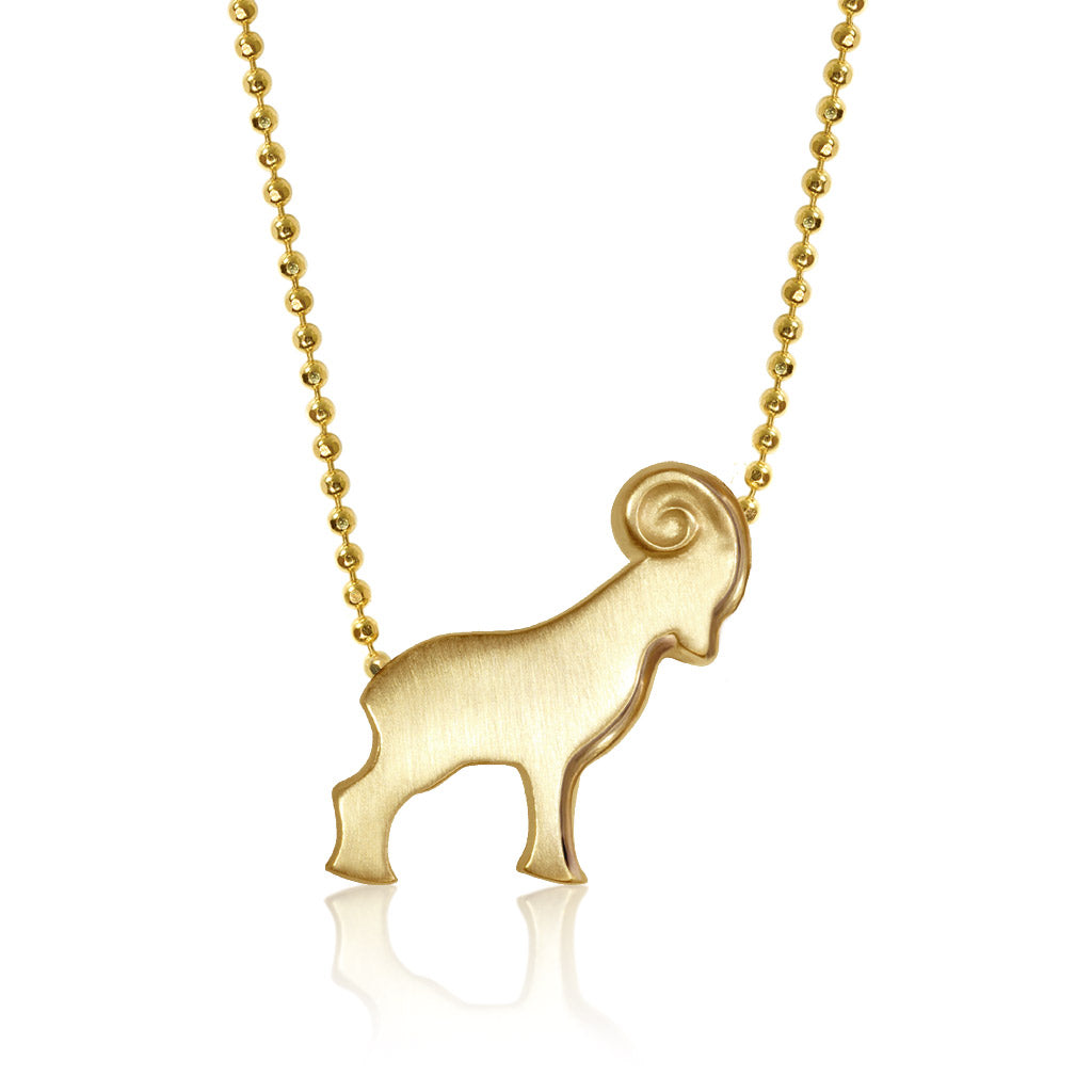 Signs Ram (Aries)