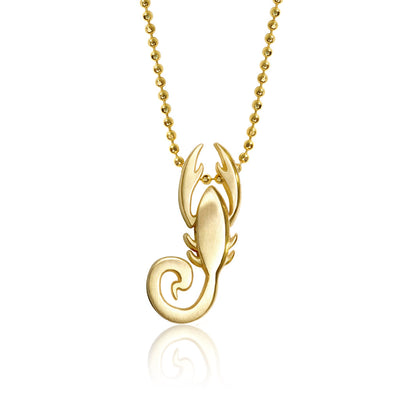 Signs Scorpion (Scorpio)