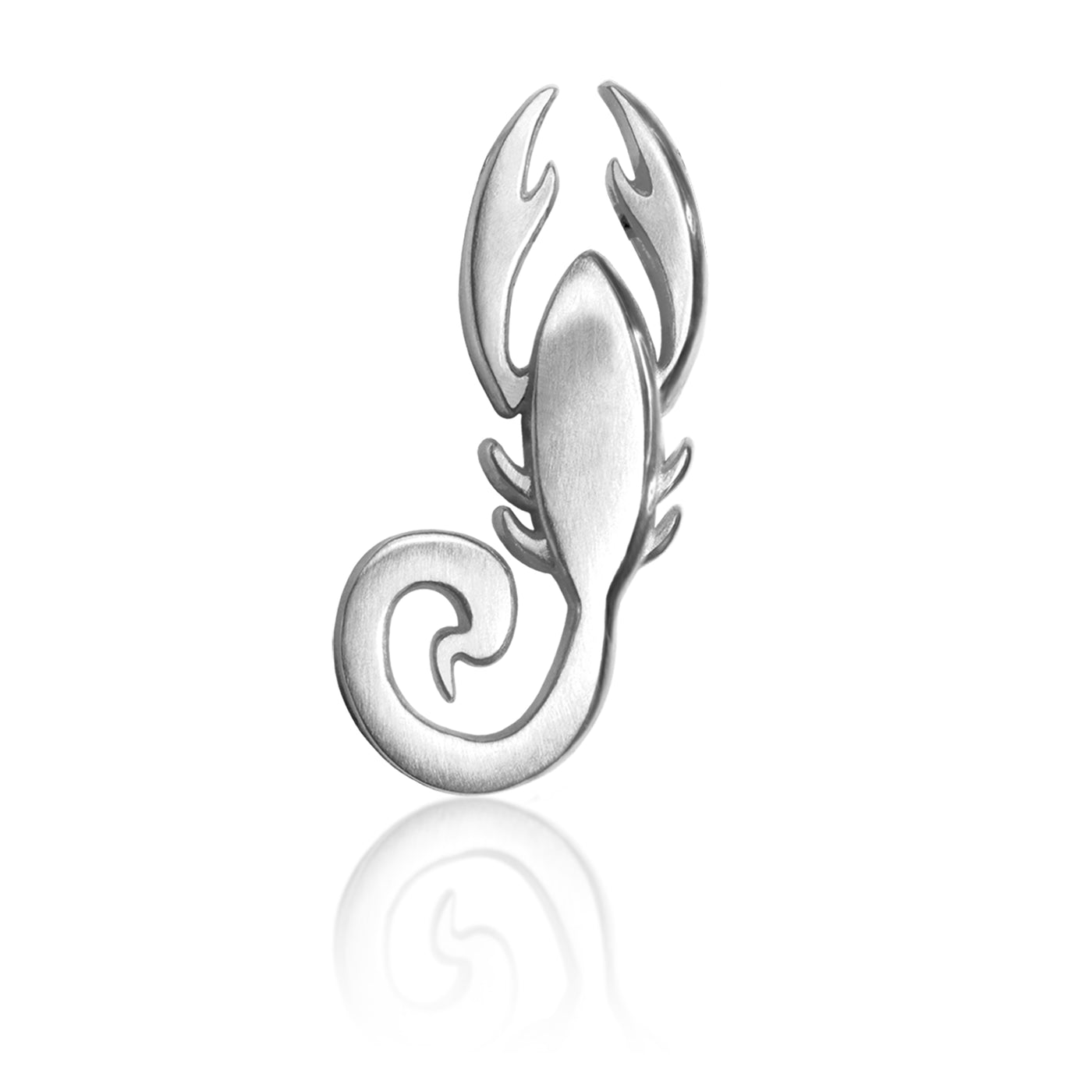 Signs Scorpion (Scorpio)