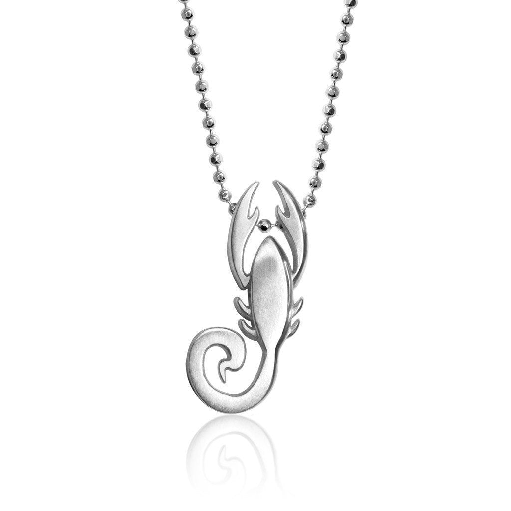 Alex Woo Zodiac Scorpio Charm Necklace – Alex Woo Jewelry