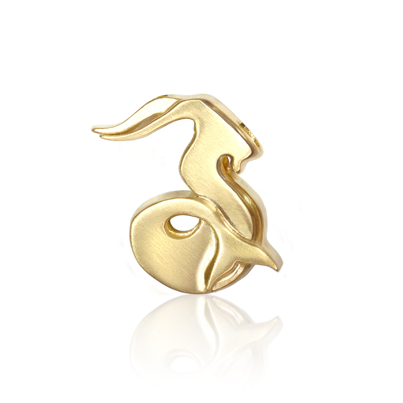 Signs Sea Goat (Capricorn)