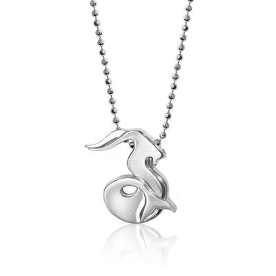 Alex Woo Zodiac Capricorn Charm Necklace