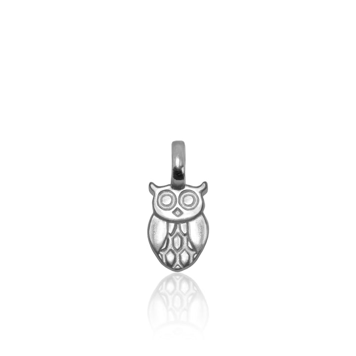 Mini Additions™ Owl Charm