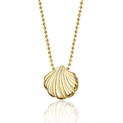 Seasons Shell